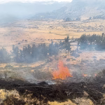 Arequipa: Incendio forestal no puede ser controlado desde hace tres días, en Cotahuasi