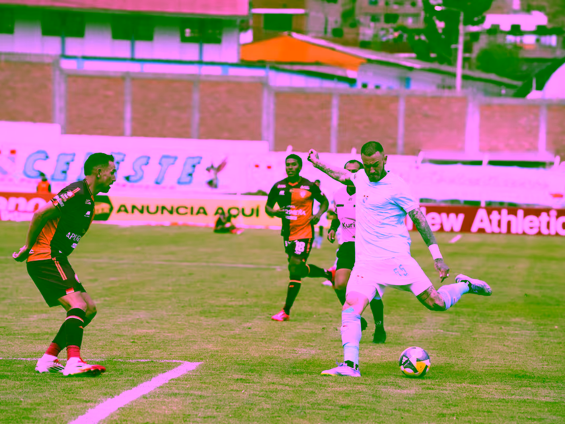 A4LYW74HOFFDLCHK2JLOPLEILA