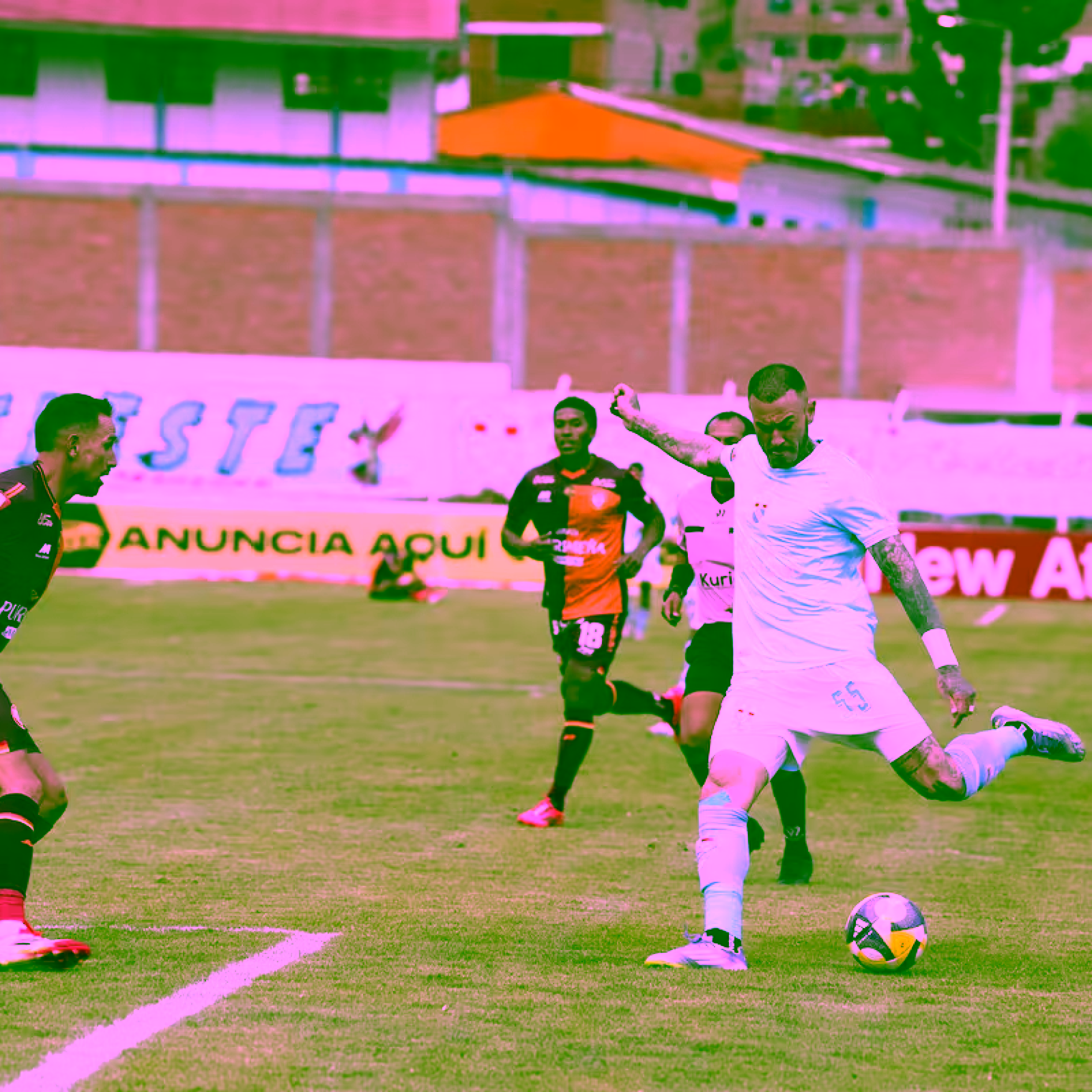 A4LYW74HOFFDLCHK2JLOPLEILA