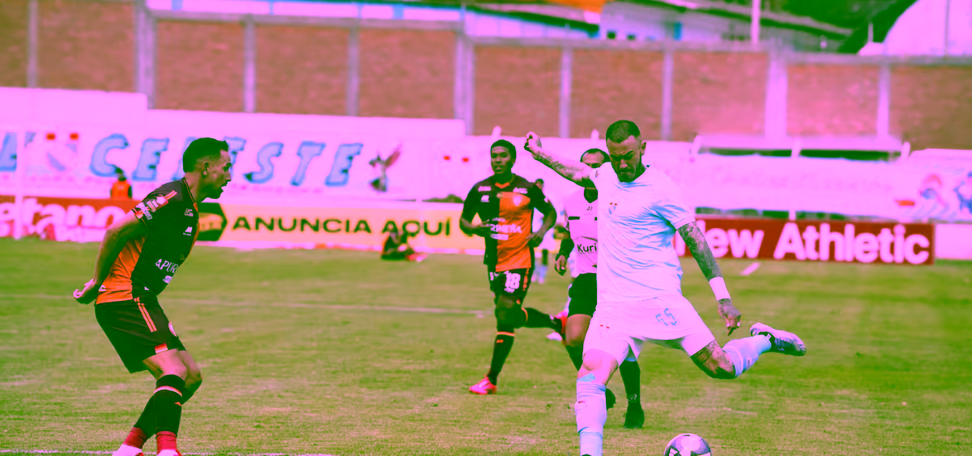 A4LYW74HOFFDLCHK2JLOPLEILA