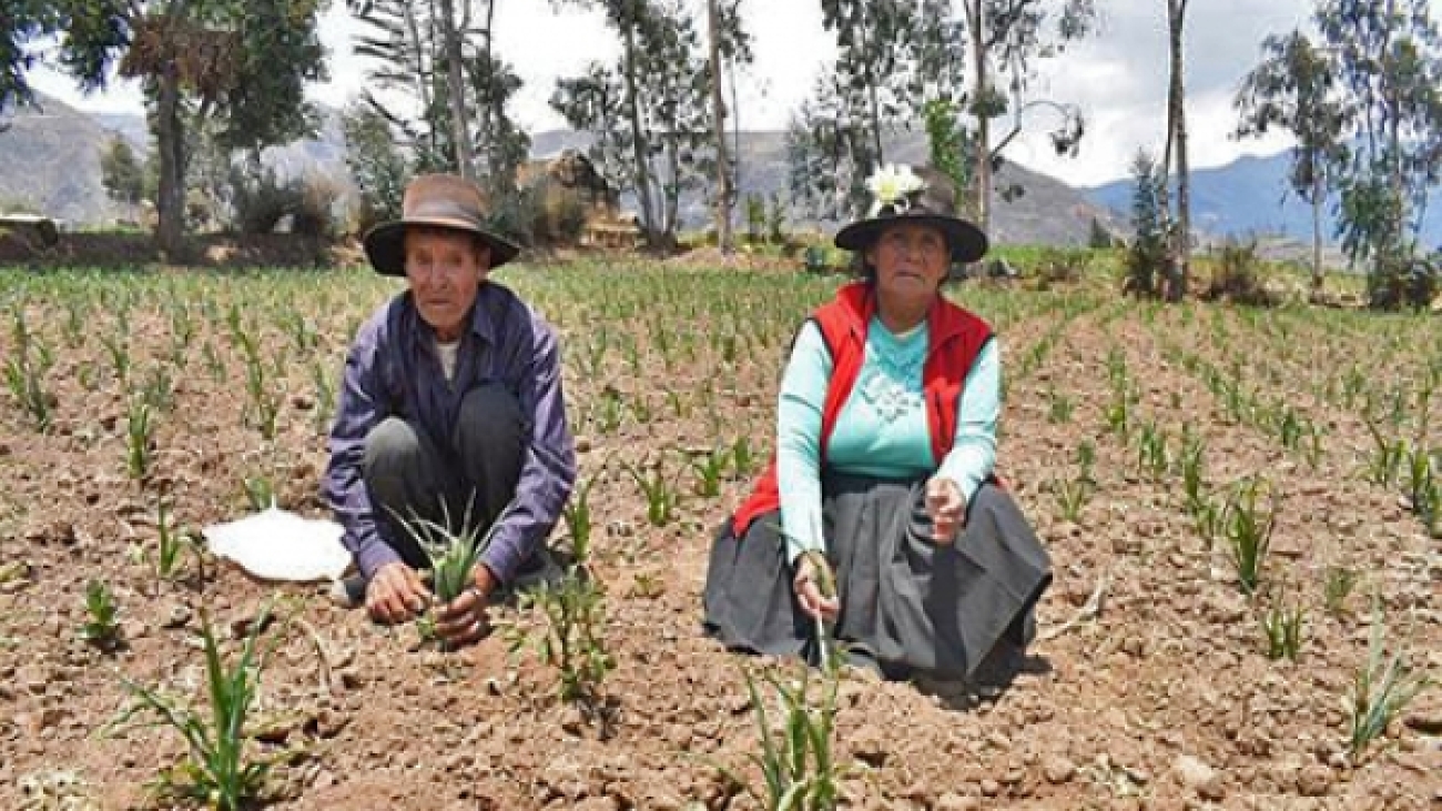 ac22b23c6e4561cfaa64d8083f1c3637_L