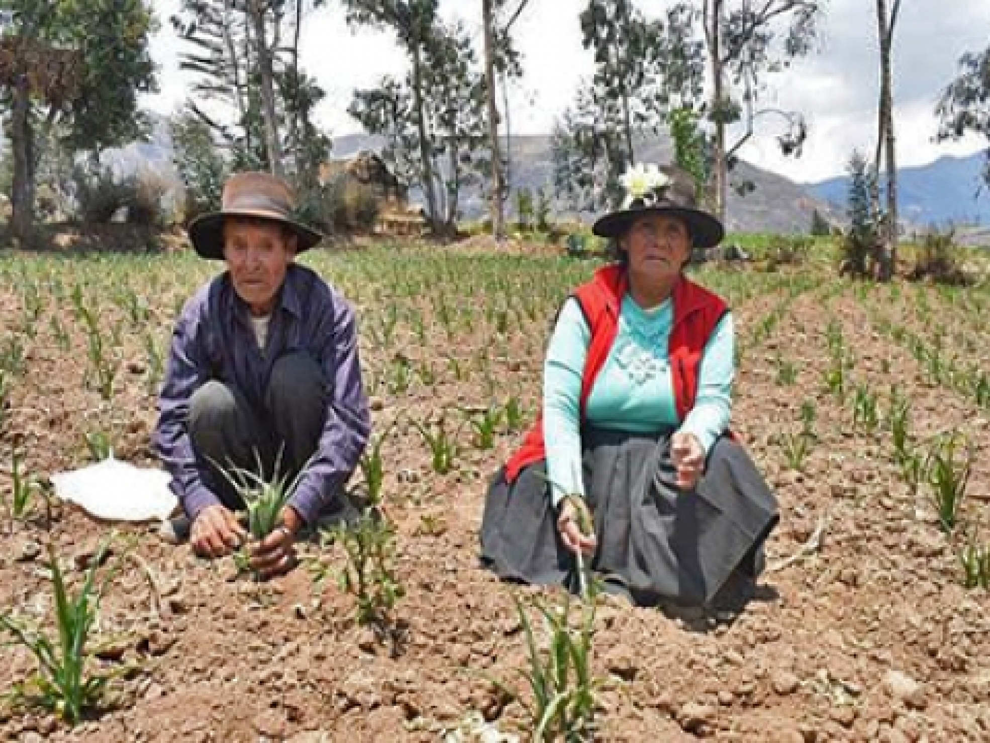 ac22b23c6e4561cfaa64d8083f1c3637_L