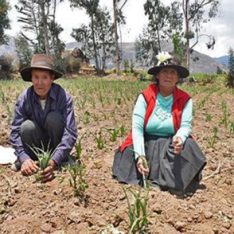 ac22b23c6e4561cfaa64d8083f1c3637_L