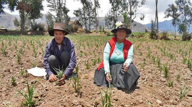 ac22b23c6e4561cfaa64d8083f1c3637_L