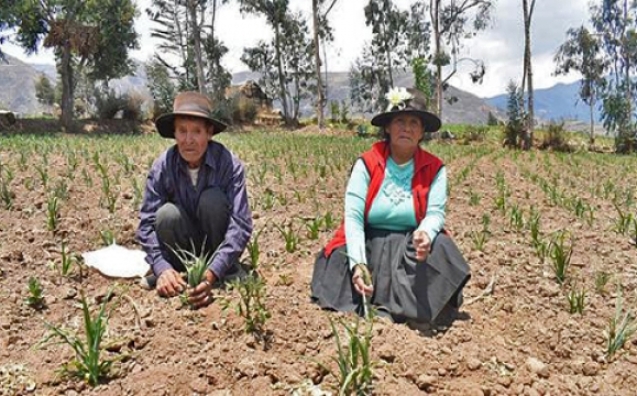 ac22b23c6e4561cfaa64d8083f1c3637_L