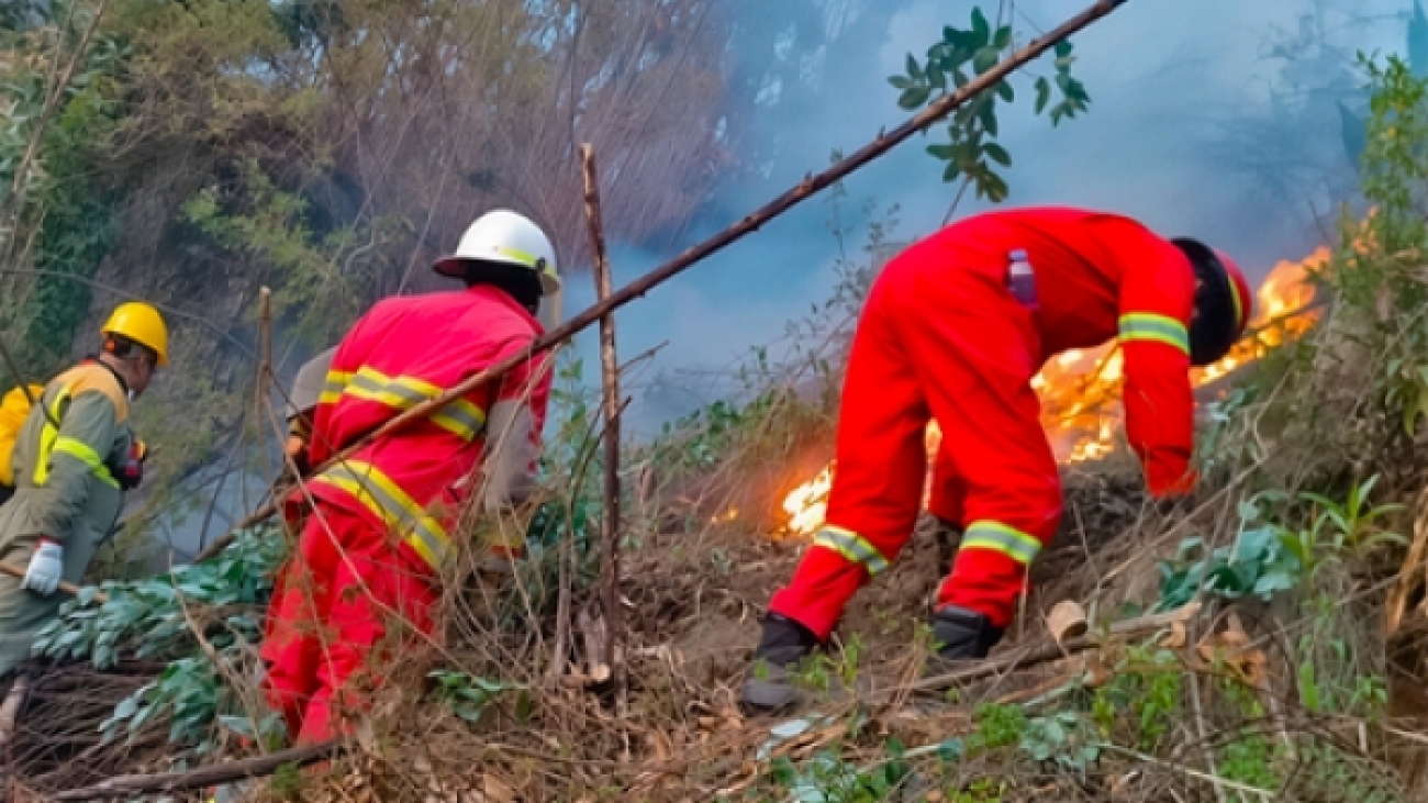 0b807dd3bd8170ef867e4dabf669979e_L