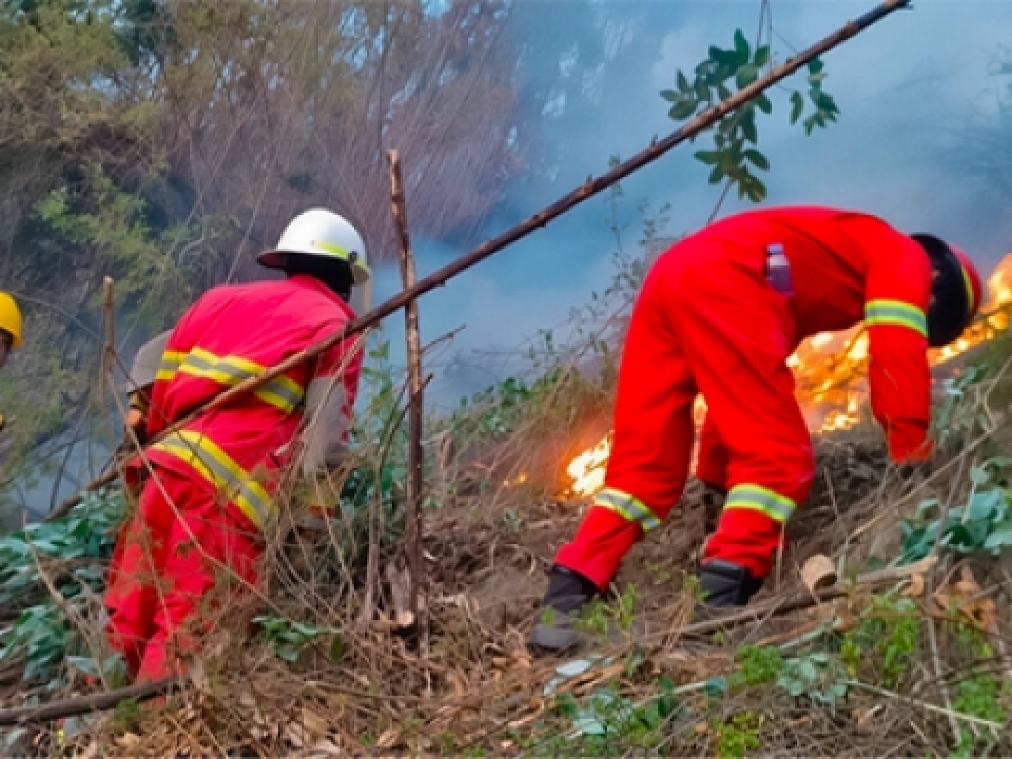 0b807dd3bd8170ef867e4dabf669979e_L