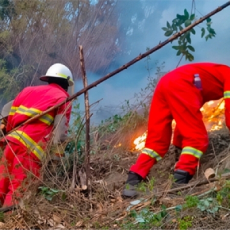 0b807dd3bd8170ef867e4dabf669979e_L