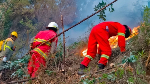 0b807dd3bd8170ef867e4dabf669979e_L