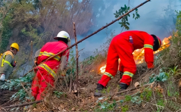 0b807dd3bd8170ef867e4dabf669979e_L