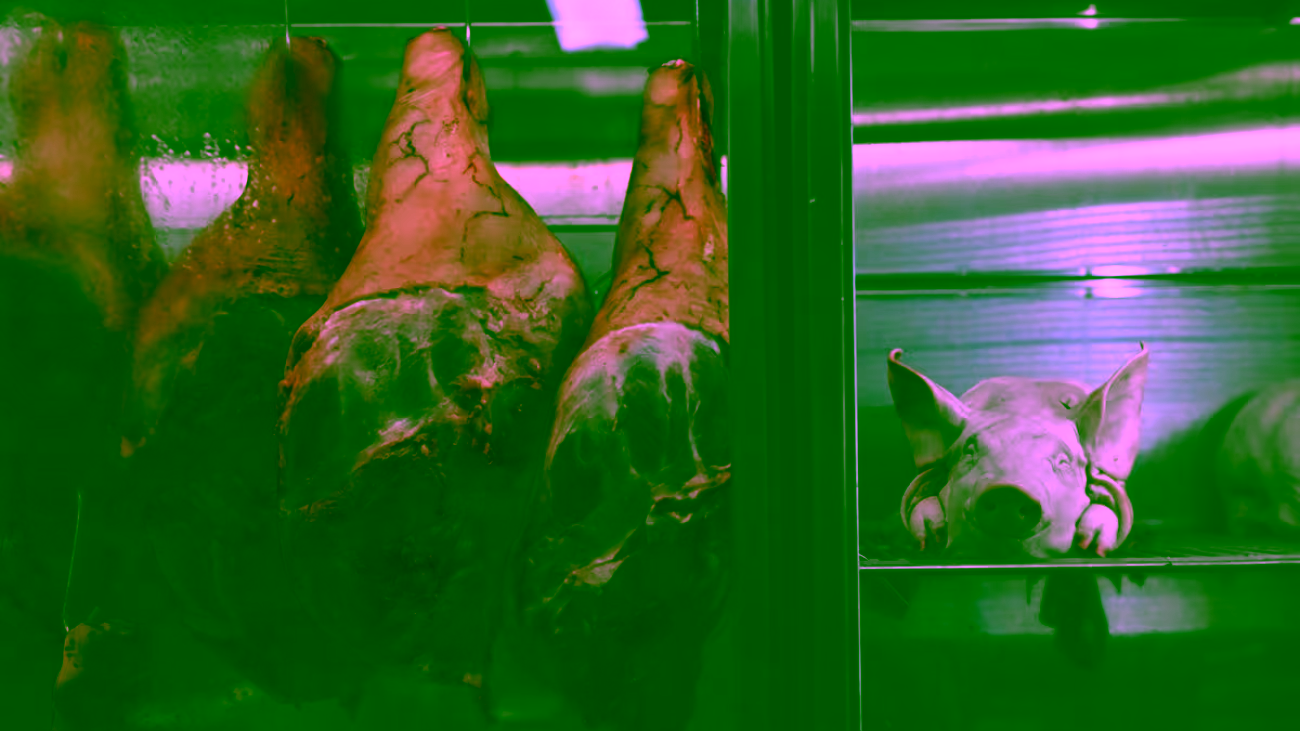 2COEDVTCYZDFHEEWQG2JCYTZ6I