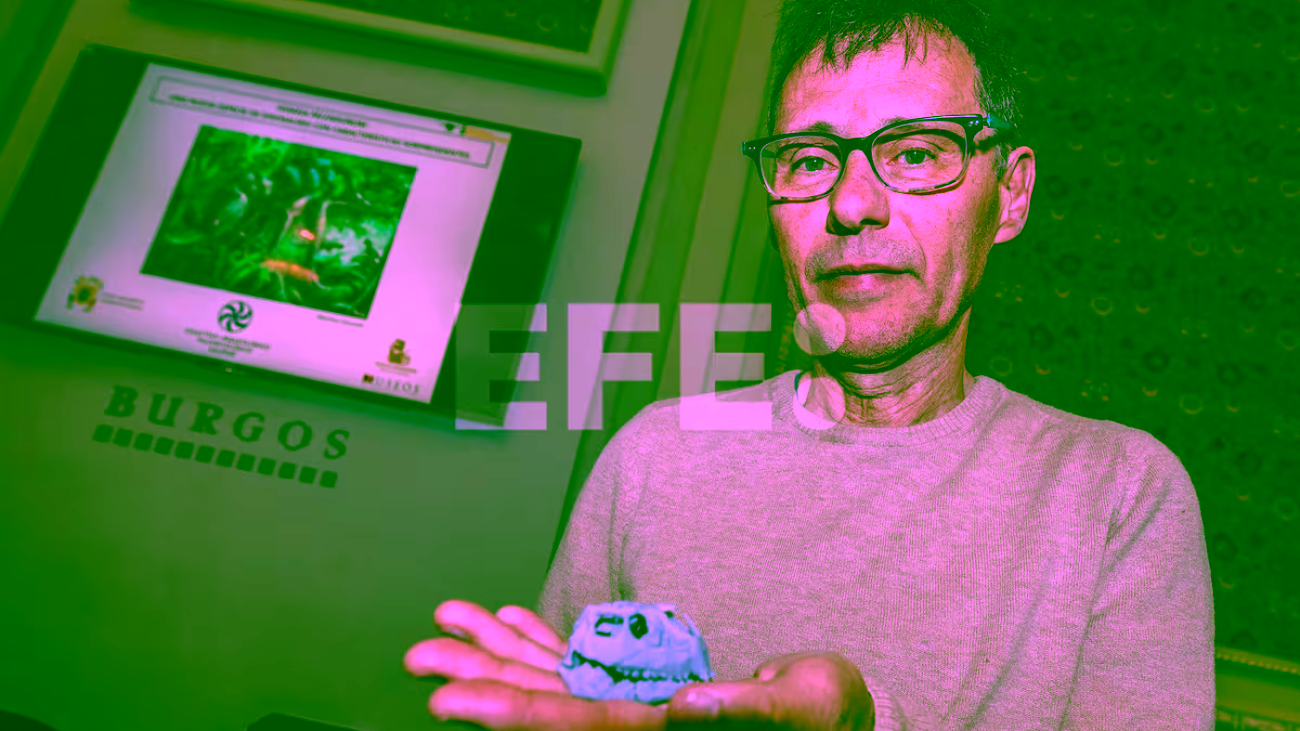 7AJGOLHVUJF27G5ZLRM4TAGFJ4