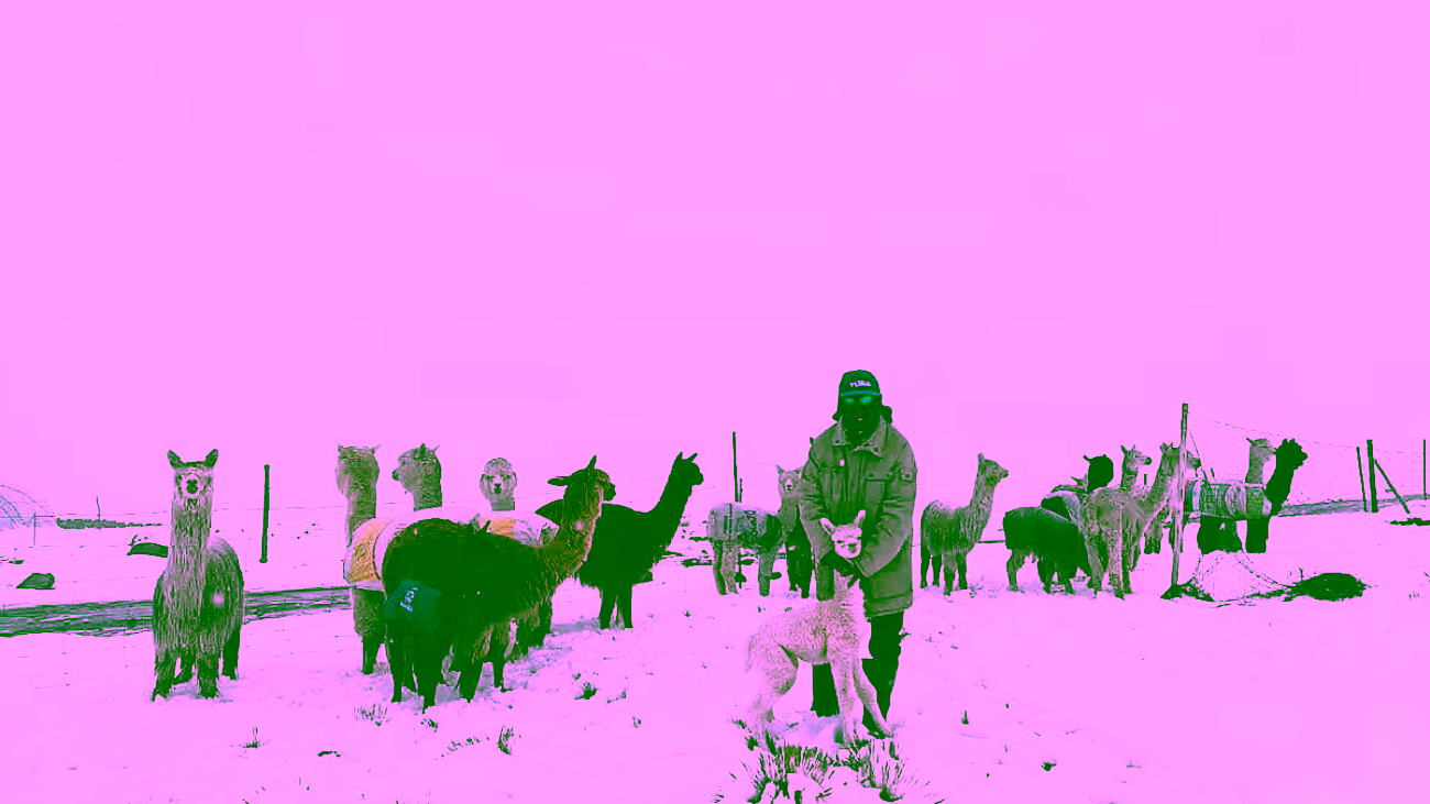 7Y3D2Q4X7NB6TEDTNKCSAPIOLQ