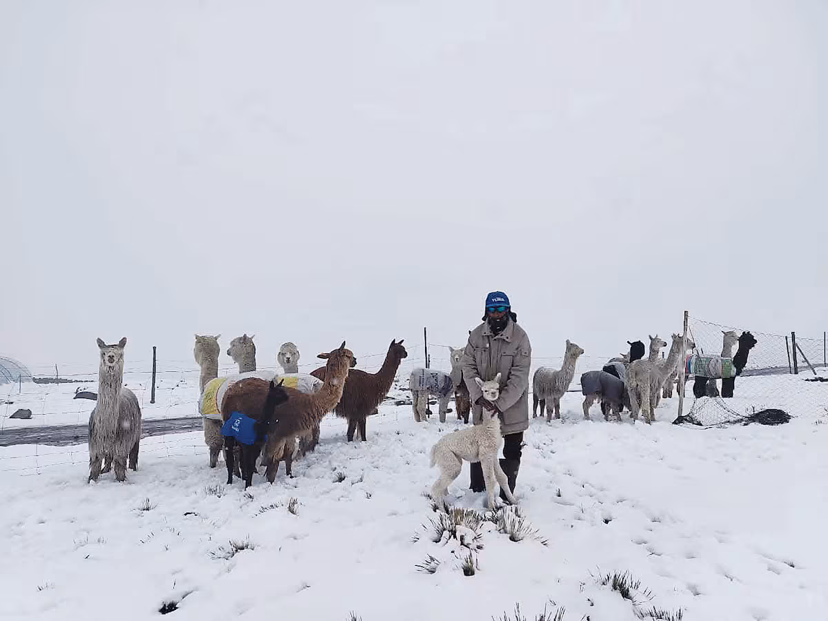 7Y3D2Q4X7NB6TEDTNKCSAPIOLQ