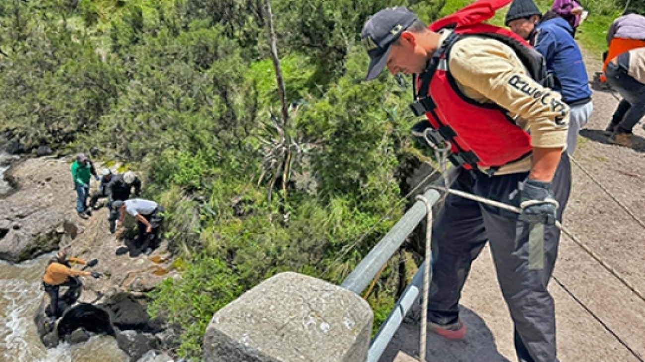 8e07e54960d4a1de2840ddfa625712c0_L