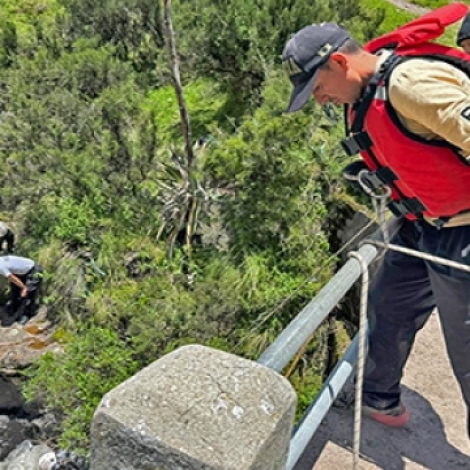 8e07e54960d4a1de2840ddfa625712c0_L