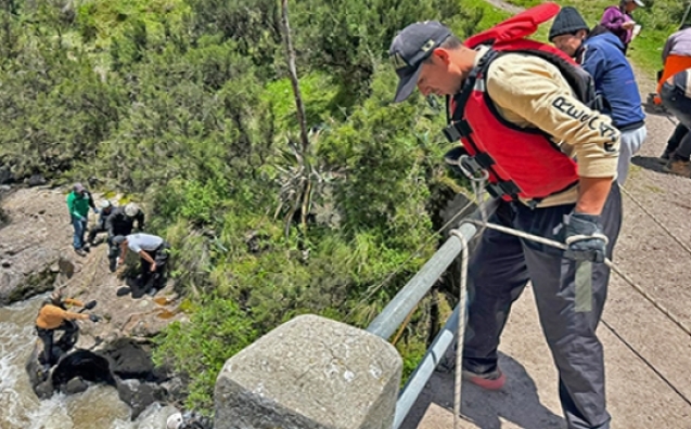 8e07e54960d4a1de2840ddfa625712c0_L