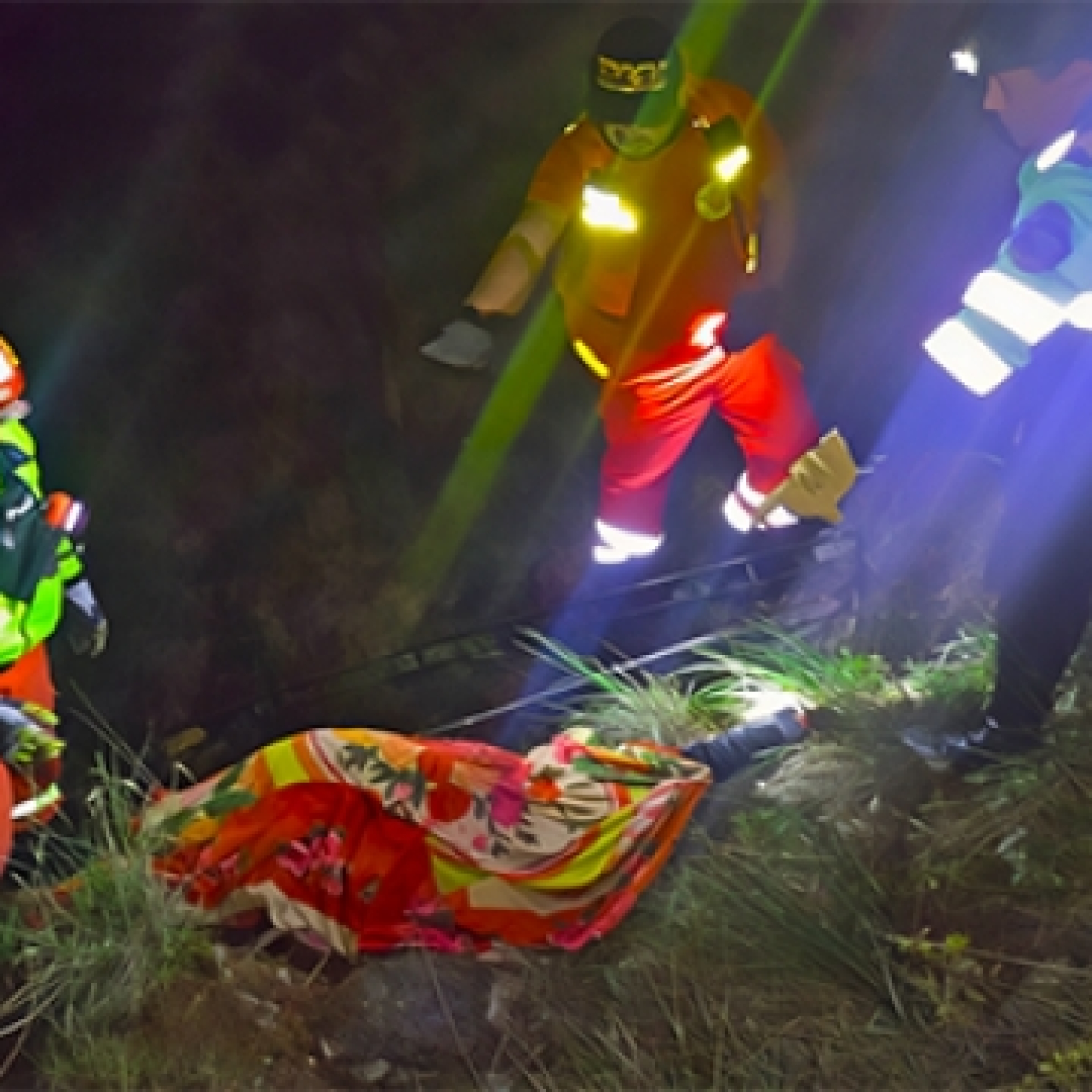 f3d8de9f452ba6790a60ed58b8289a96_L