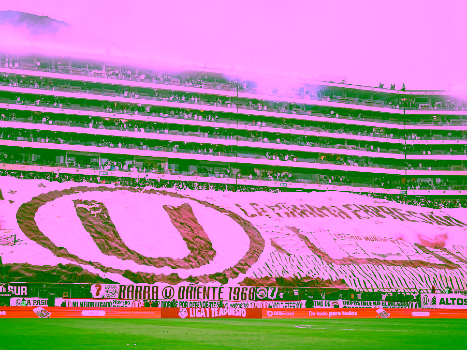 6QA54NJIXBGC7CAYSH5LNSA4FM