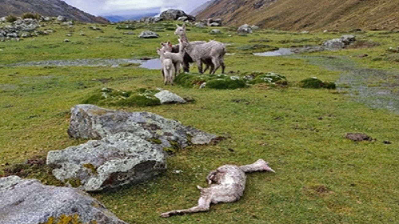 8d1d1a181da864bb0f8b524734c7f9d7_L