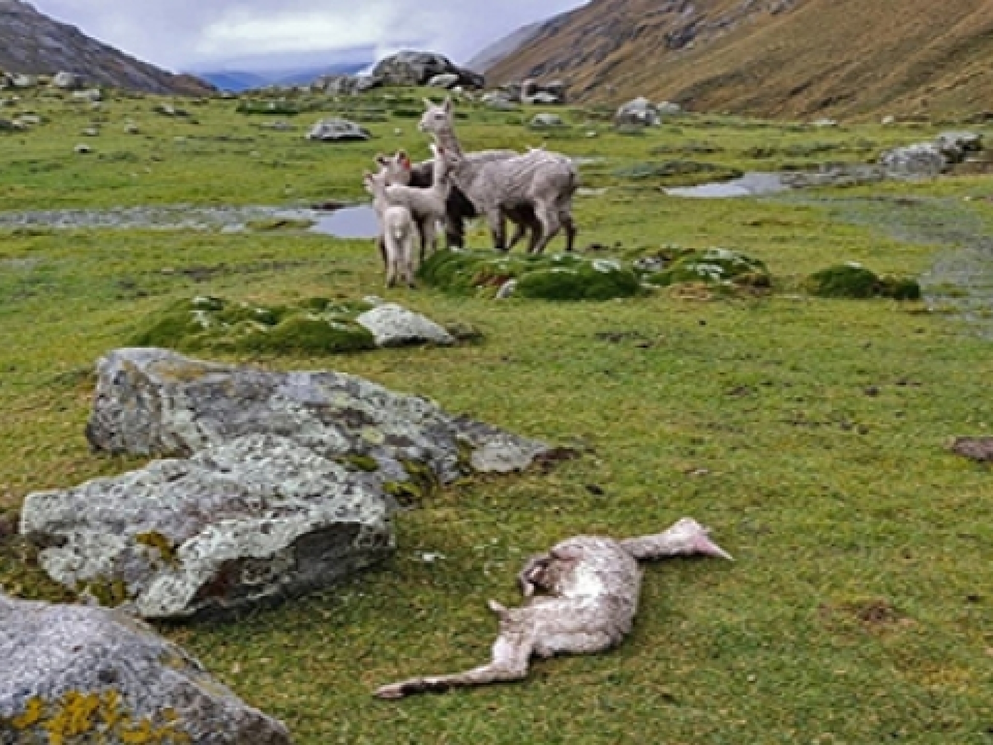 8d1d1a181da864bb0f8b524734c7f9d7_L