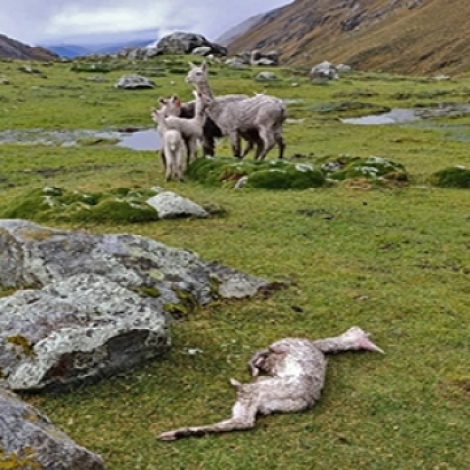 8d1d1a181da864bb0f8b524734c7f9d7_L