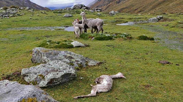 8d1d1a181da864bb0f8b524734c7f9d7_L