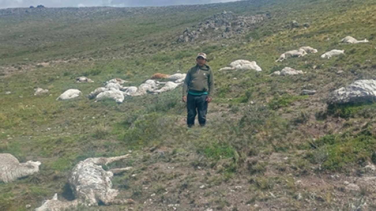 c533f9014a9bccbdd6f9e02257678814_L