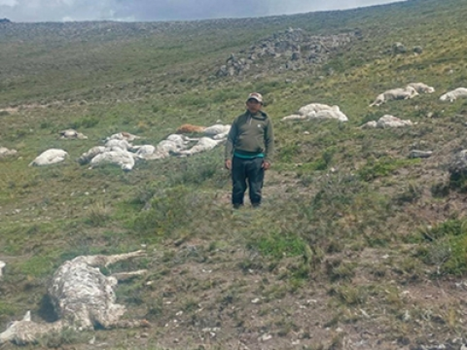 c533f9014a9bccbdd6f9e02257678814_L