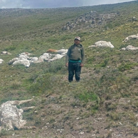 c533f9014a9bccbdd6f9e02257678814_L