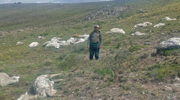 c533f9014a9bccbdd6f9e02257678814_L