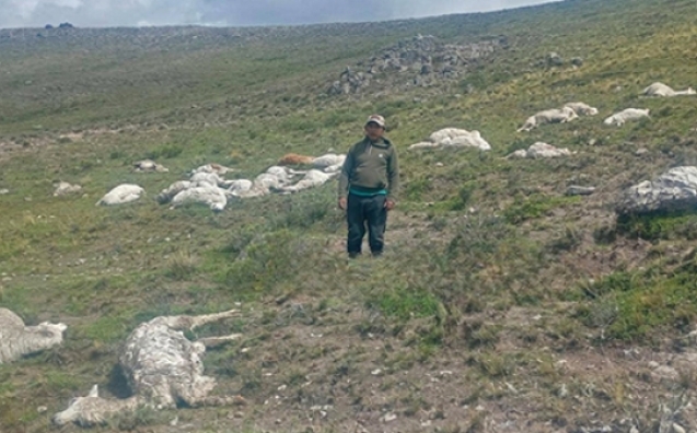 c533f9014a9bccbdd6f9e02257678814_L