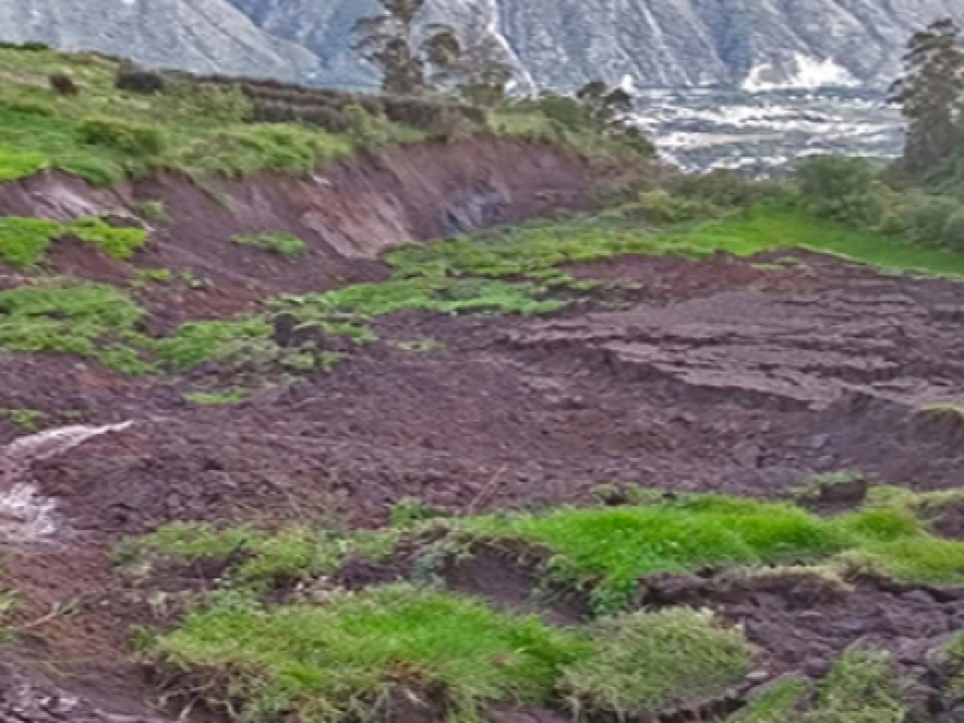 d9c07c7cae5a7d696244c52b44607e72_L