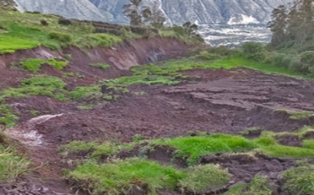 d9c07c7cae5a7d696244c52b44607e72_L