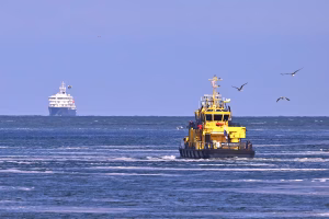 Crucero con brote de hantavirus atraca en Róterdam tras alerta sanitaria internacional