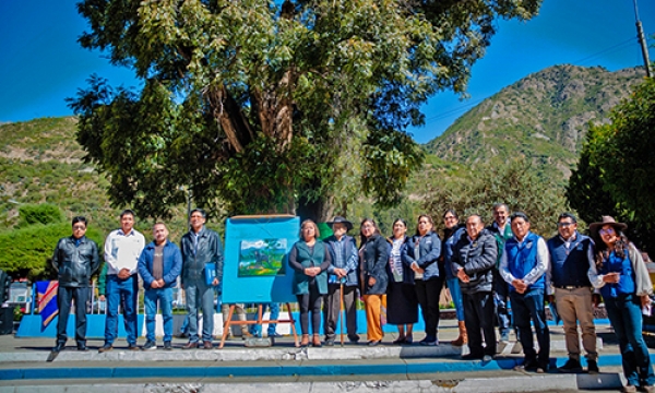Árbol con más de 400 años ubicado en Chalhuanca es reconocido como patrimonio por SERFOR
