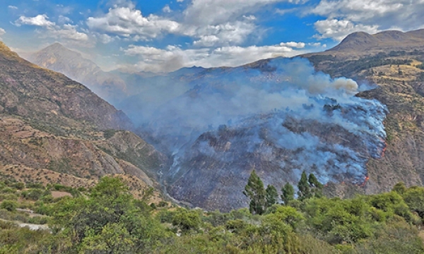 Incendio forestal casi alcanza viviendas y pone en riesgo a familias en Antabamba